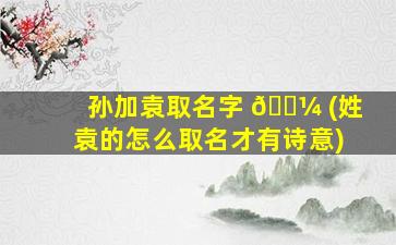 孙加袁取名字 🌼 (姓袁的怎么取名才有诗意)